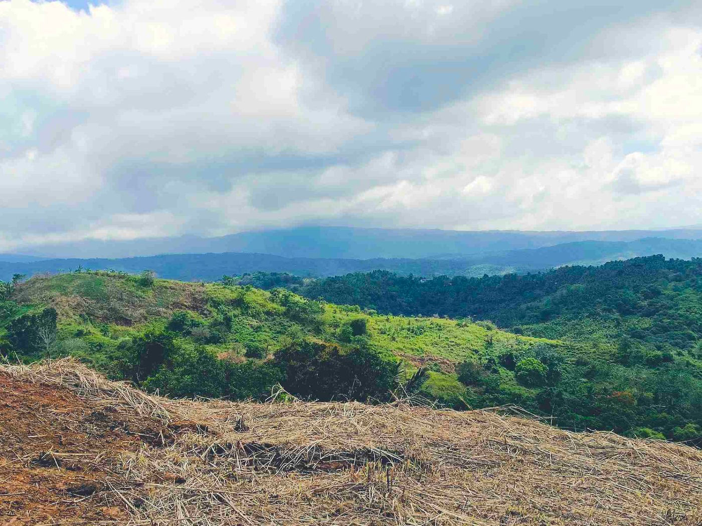 500 SQM Titled Farm Lot for Sale in Sampaloc, Tanay, Rizal – photo 26