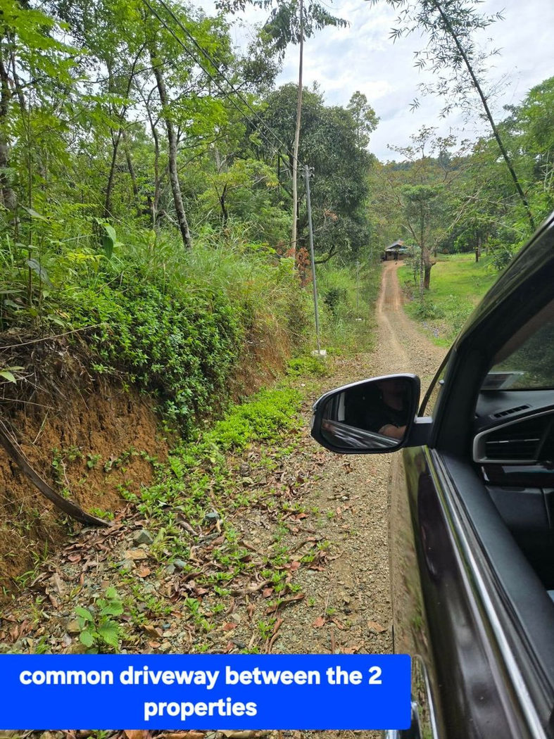 6.5-Hectare Farm Lot with Creek for Sale in Sampaloc, Tanay, Rizal – photo 3