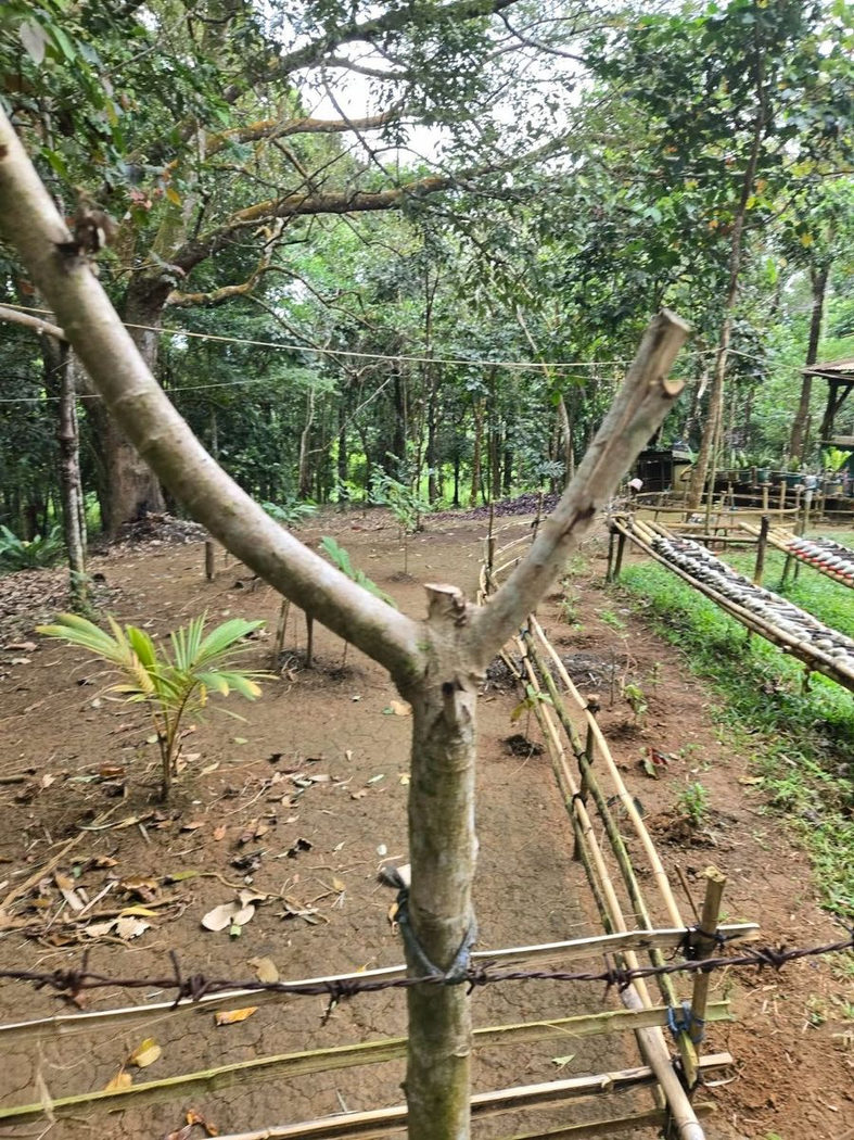 6.5-Hectare Farm Lot with Creek for Sale in Sampaloc, Tanay, Rizal – photo 5