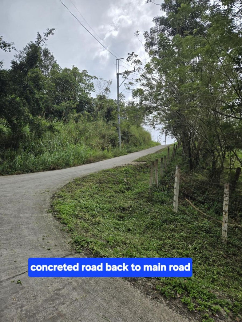 6.5-Hectare Farm Lot with Creek for Sale in Sampaloc, Tanay, Rizal – photo 7