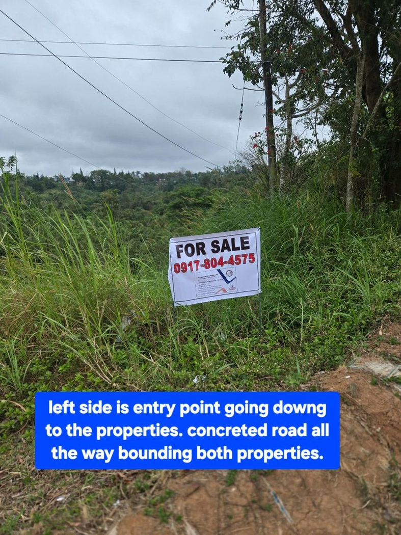 6.5-Hectare Farm Lot with Creek for Sale in Sampaloc, Tanay, Rizal – photo 8