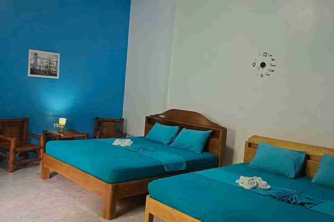 7 Bedroom Commercial for Sale in Saavedra, Moalboal, Cebu – photo 8