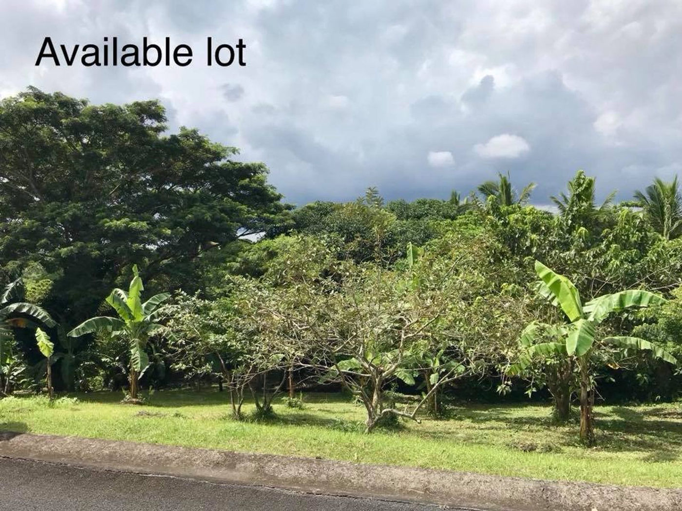 861 SQM Lot for Sale in Leisure Farms, Maguihan, Lemery, Batangas – photo 5