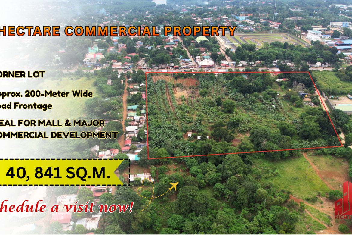 Commercial for Sale in Santa Monica, Puerto Princesa, Palawan
