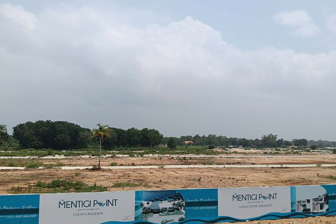 Land for Sale in Aguho, Daanbantayan, Cebu – photo 5