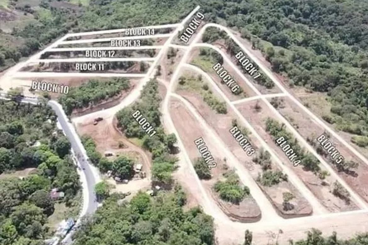 Land for Sale in Alta Monte Pililia, Halayhayin, Pililla, Rizal – photo 8