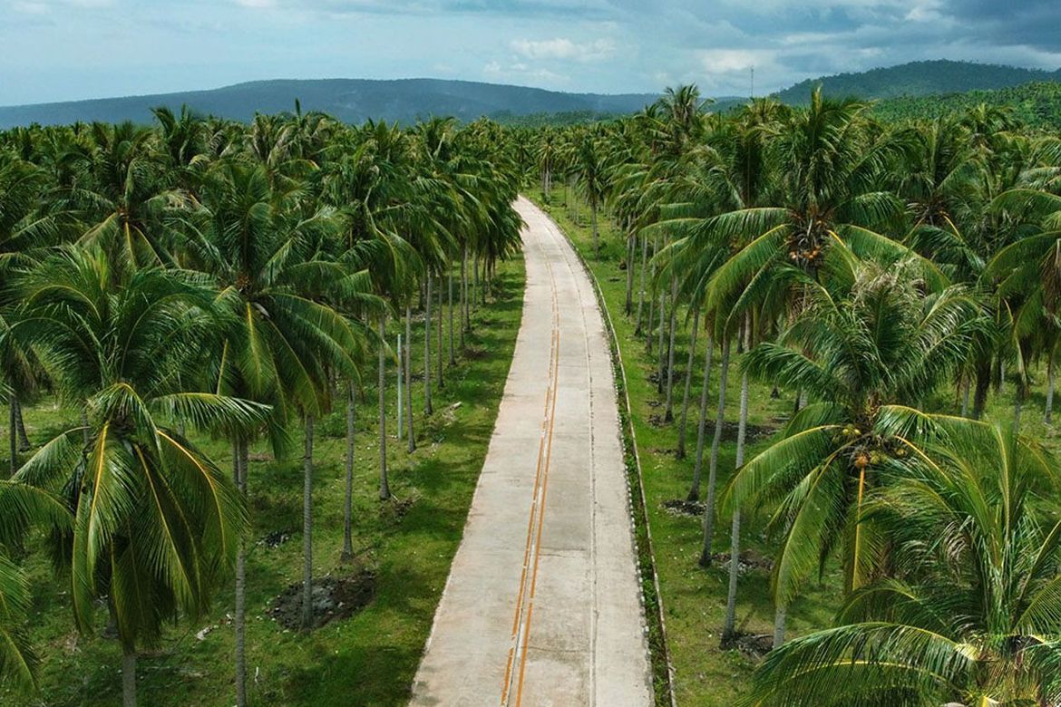 Land for Sale in Aporawan, Aborlan, Palawan – photo 3