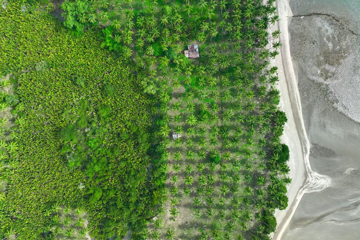 Land for Sale in Aramaywan, Quezon, Palawan – photo 3