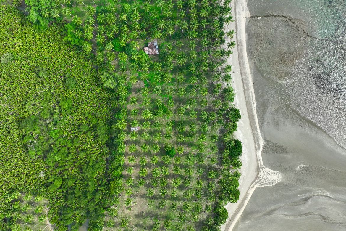 Land for Sale in Aramaywan, Quezon, Palawan – photo 5