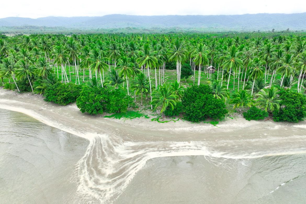 Land for Sale in Aramaywan, Quezon, Palawan – photo 11