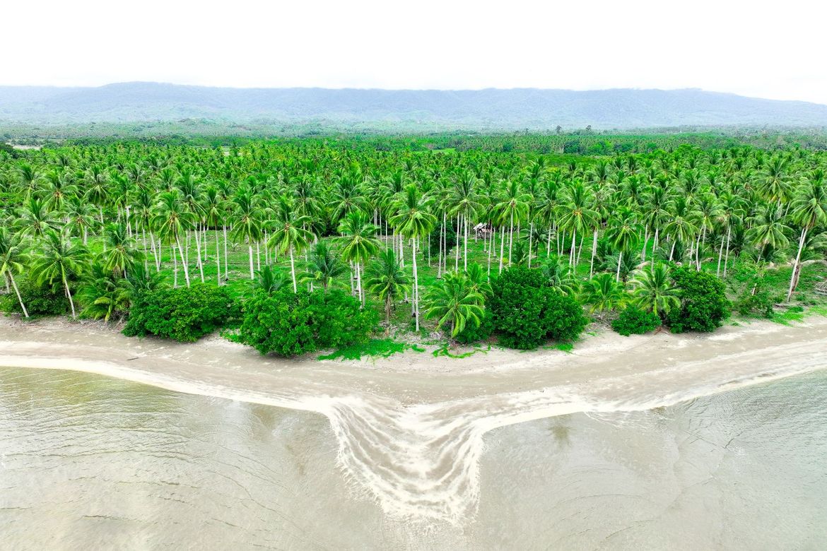 Land for Sale in Aramaywan, Quezon, Palawan – photo 12