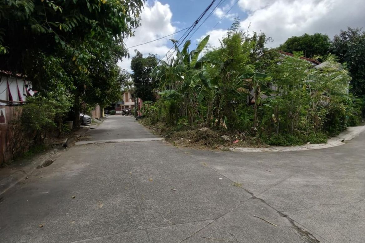 Land for Sale in Bagumbayan, Teresa, Rizal – photo 2