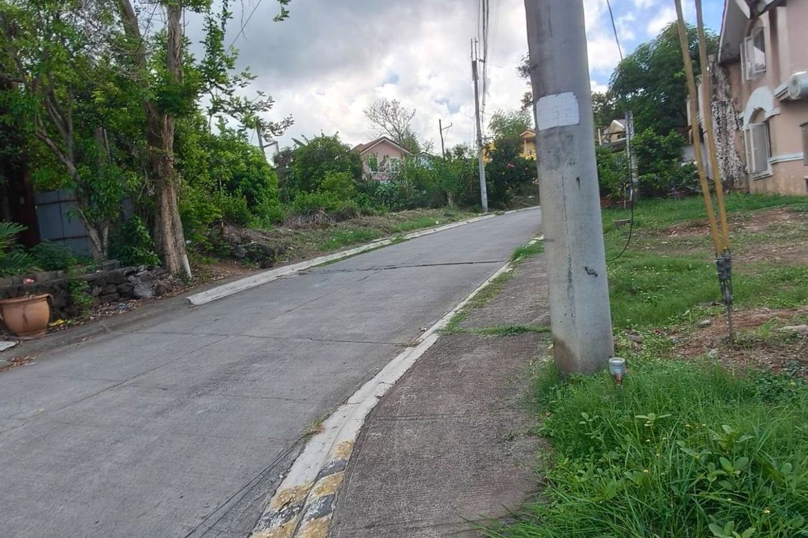 Land for Sale in Bagumbayan, Teresa, Rizal – photo 8