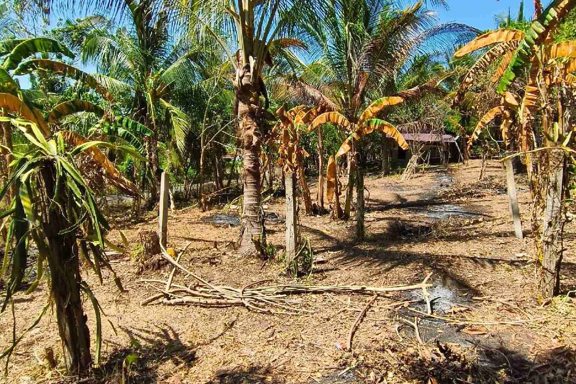 Land for Sale in Bagumbong, Jala-Jala, Rizal – photo 5