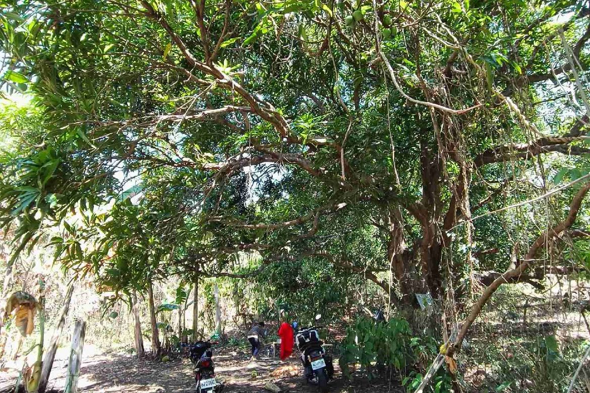 Land for Sale in Bagumbong, Jala-Jala, Rizal – photo 7