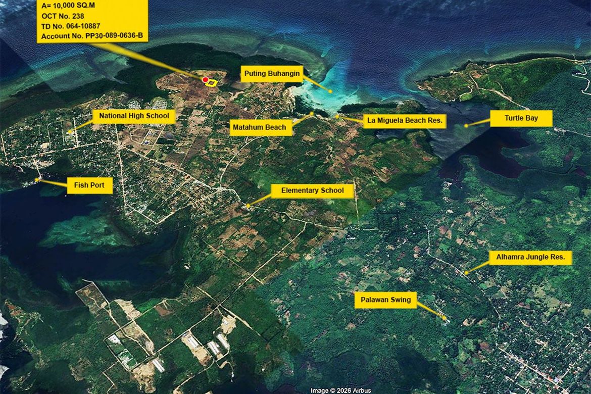 Land for Sale in Barangay Ng Mga Mangingisda, Puerto Princesa, Palawan – photo 9