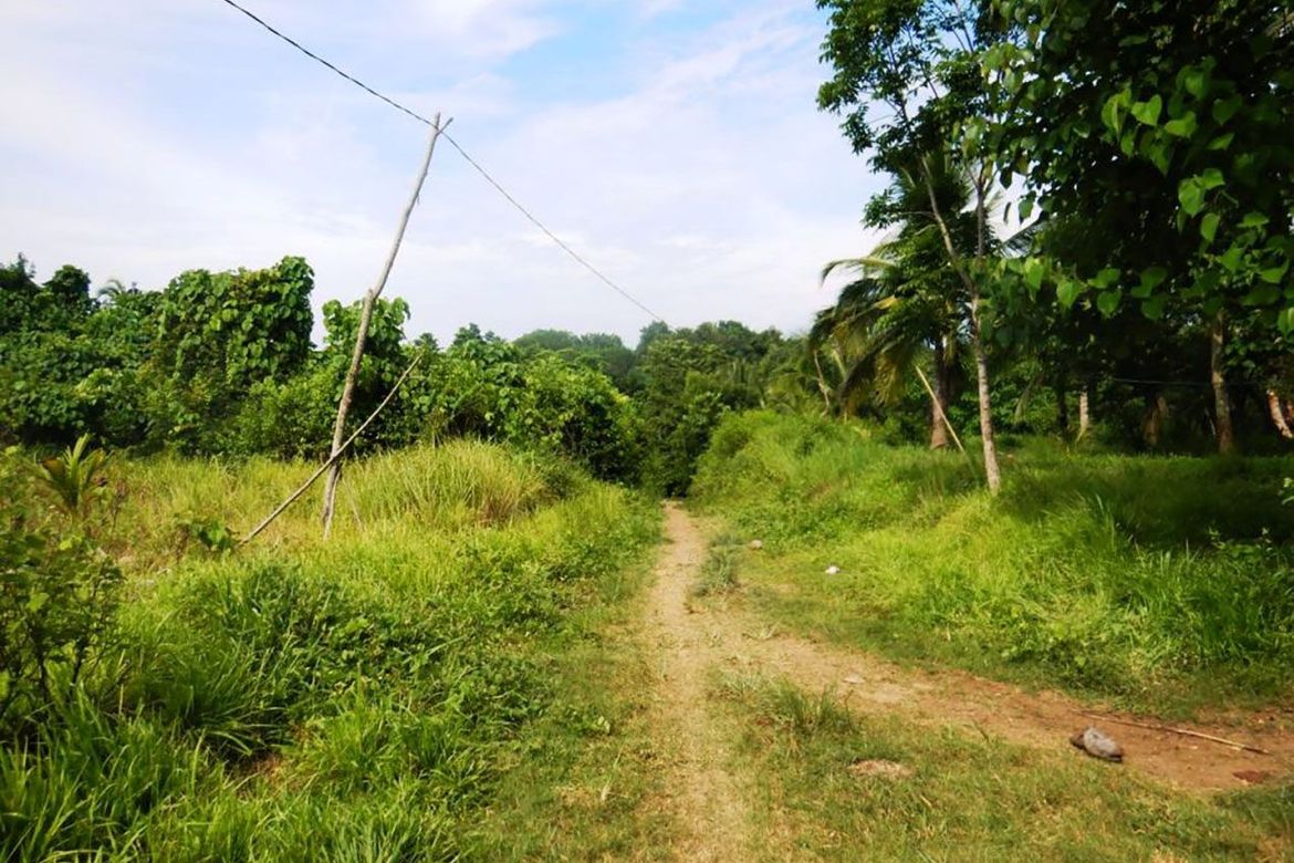 Land for Sale in Barangay Ng Mga Mangingisda, Puerto Princesa, Palawan – photo 4