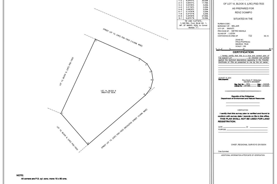 Land for Sale in Bel-Air, Makati City – photo 8
