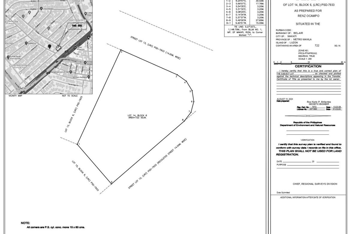 Land for Sale in Bel-Air, Makati City – photo 9
