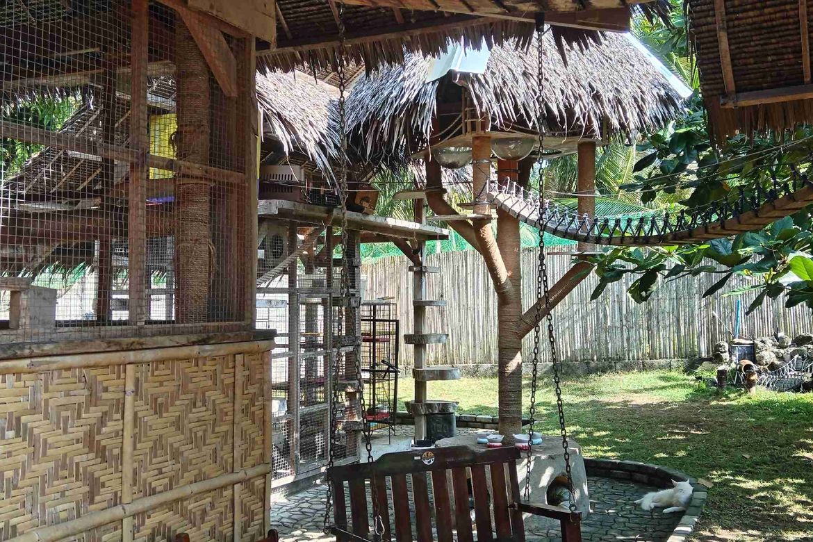 Land for Sale in Biking, Dauis, Bohol – photo 7