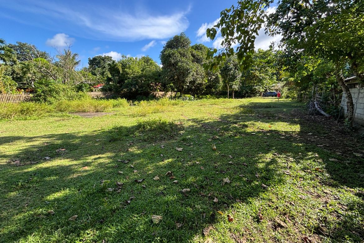 Land for Sale in Buenavista, Nabas, Aklan – photo 3
