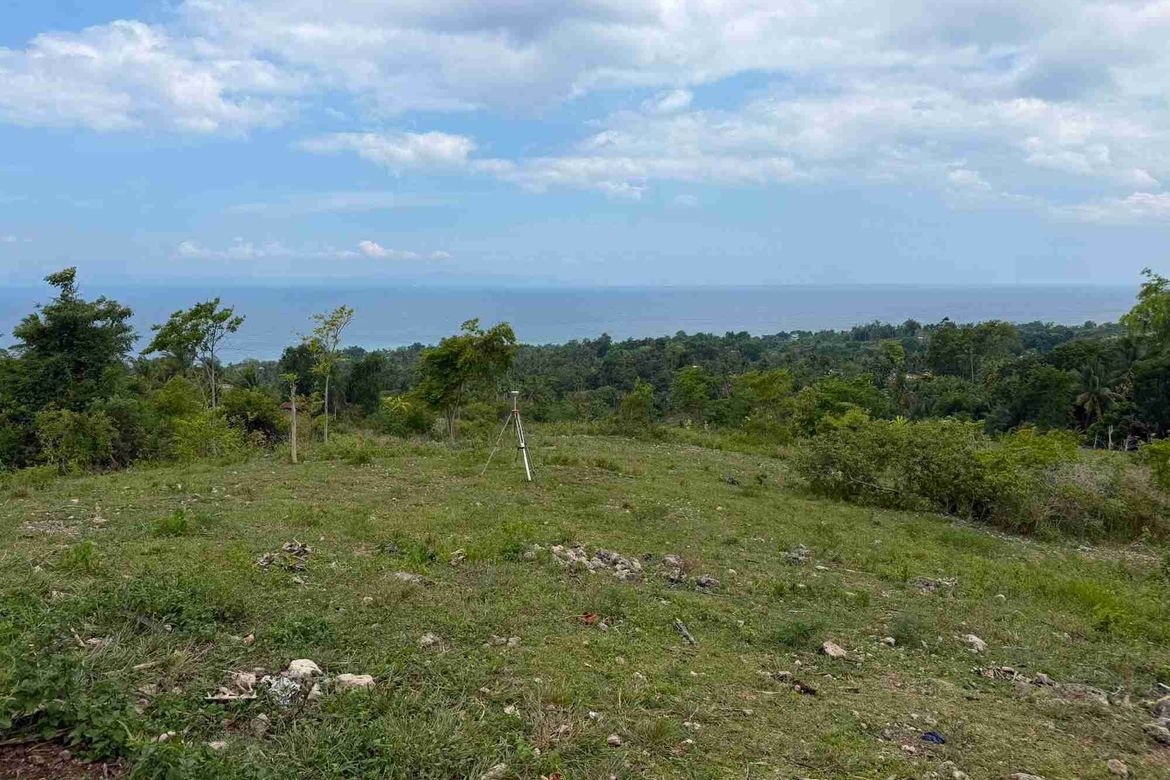 Land for Sale in Bulasa, Argao, Cebu – photo 3
