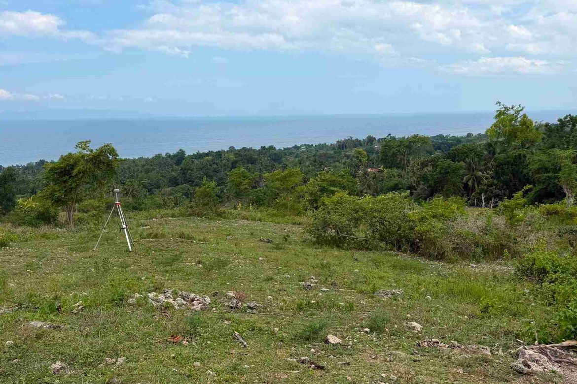Land for Sale in Bulasa, Argao, Cebu – photo 5