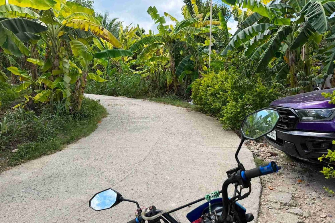 Land for Sale in Bulasa, Argao, Cebu – photo 9