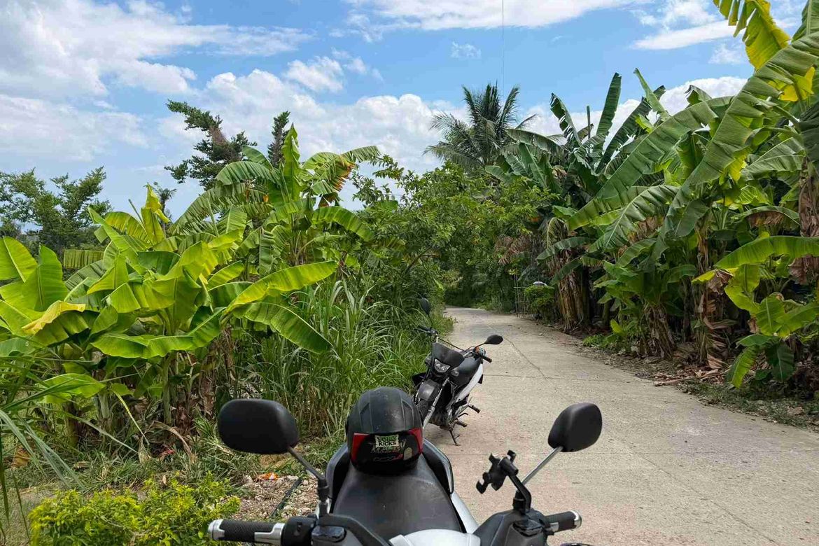 Land for Sale in Bulasa, Argao, Cebu – photo 11