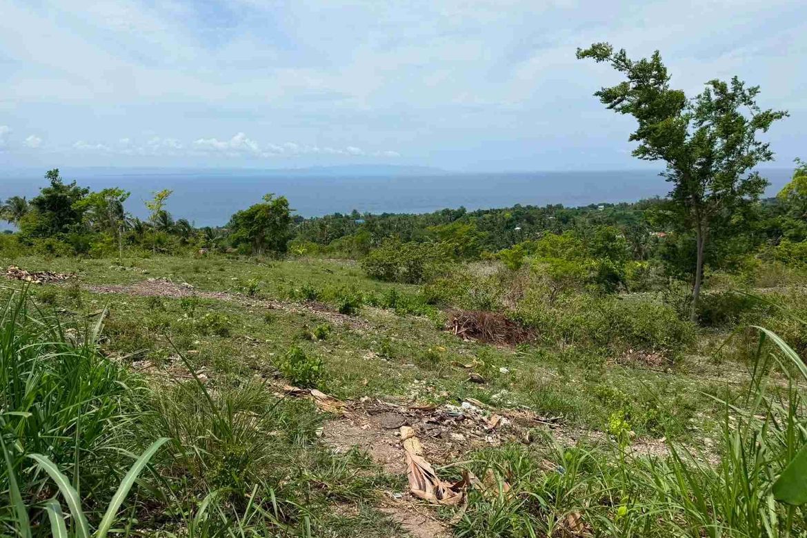Land for Sale in Bulasa, Argao, Cebu – photo 12