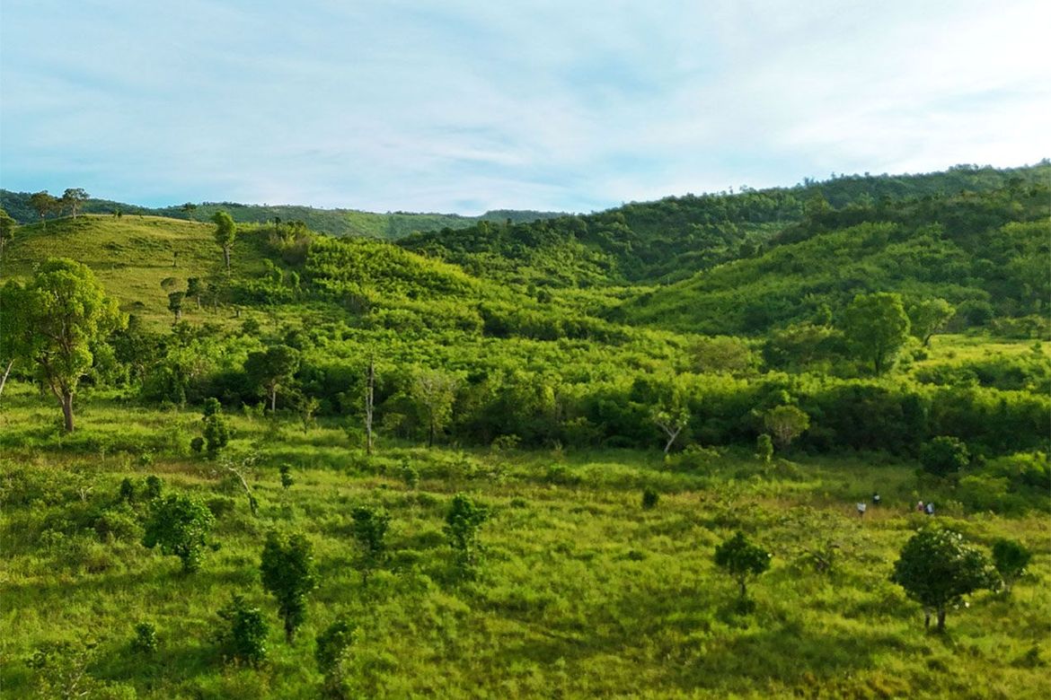 Land for Sale in Buluang, Busuanga, Palawan – photo 4