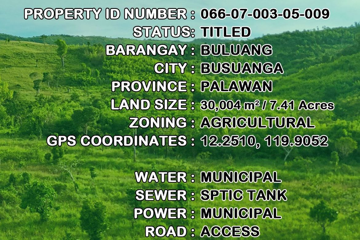Land for Sale in Buluang, Busuanga, Palawan – photo 12