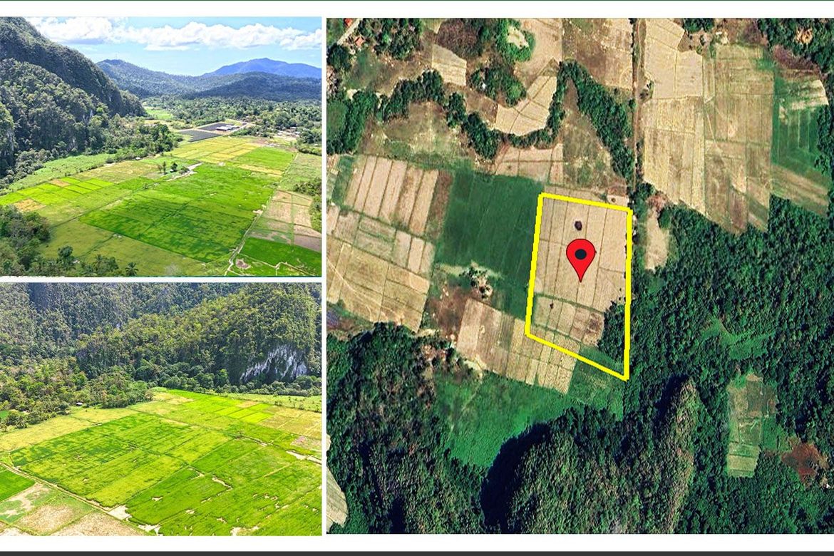 Land for Sale in Cabayugan, Puerto Princesa, Palawan
