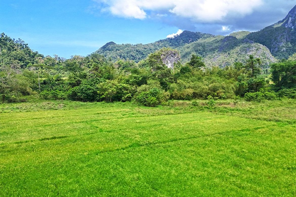 Land for Sale in Cabayugan, Puerto Princesa, Palawan – photo 4