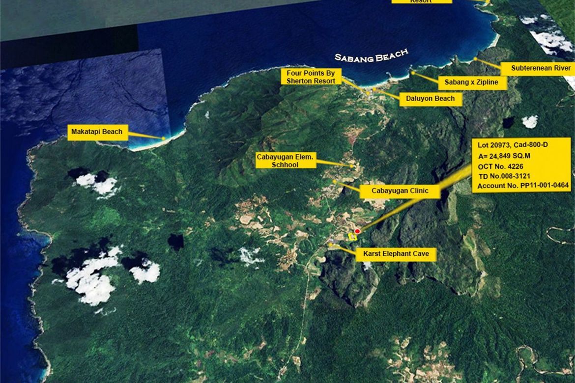 Land for Sale in Cabayugan, Puerto Princesa, Palawan – photo 11