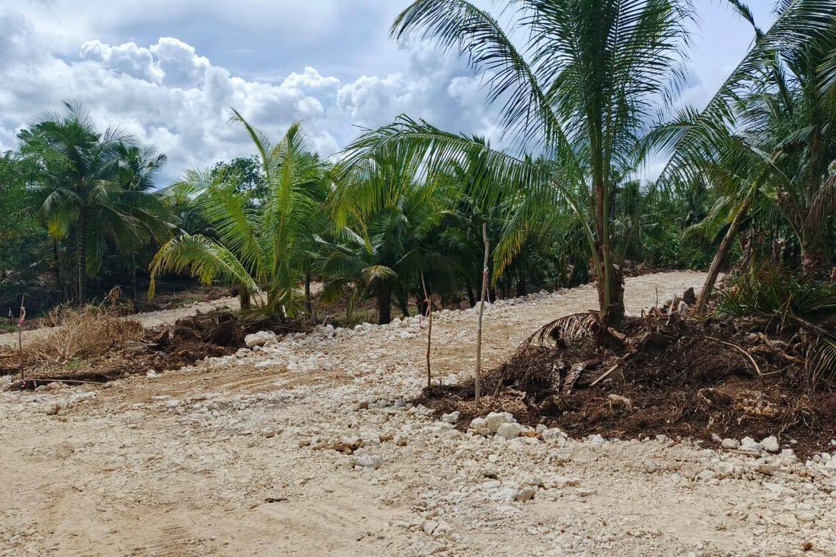 Land for Sale in Caridad, Pilar, Surigao del Norte – photo 7