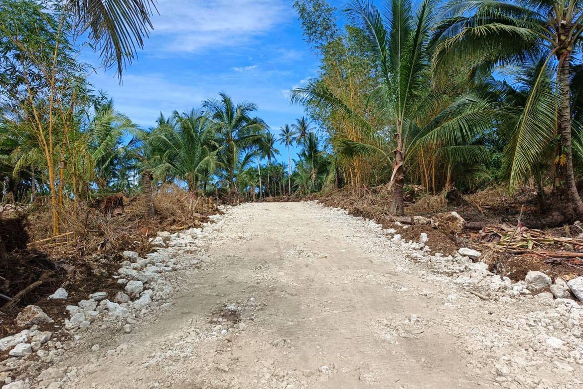Land for Sale in Caridad, Pilar, Surigao del Norte – photo 8