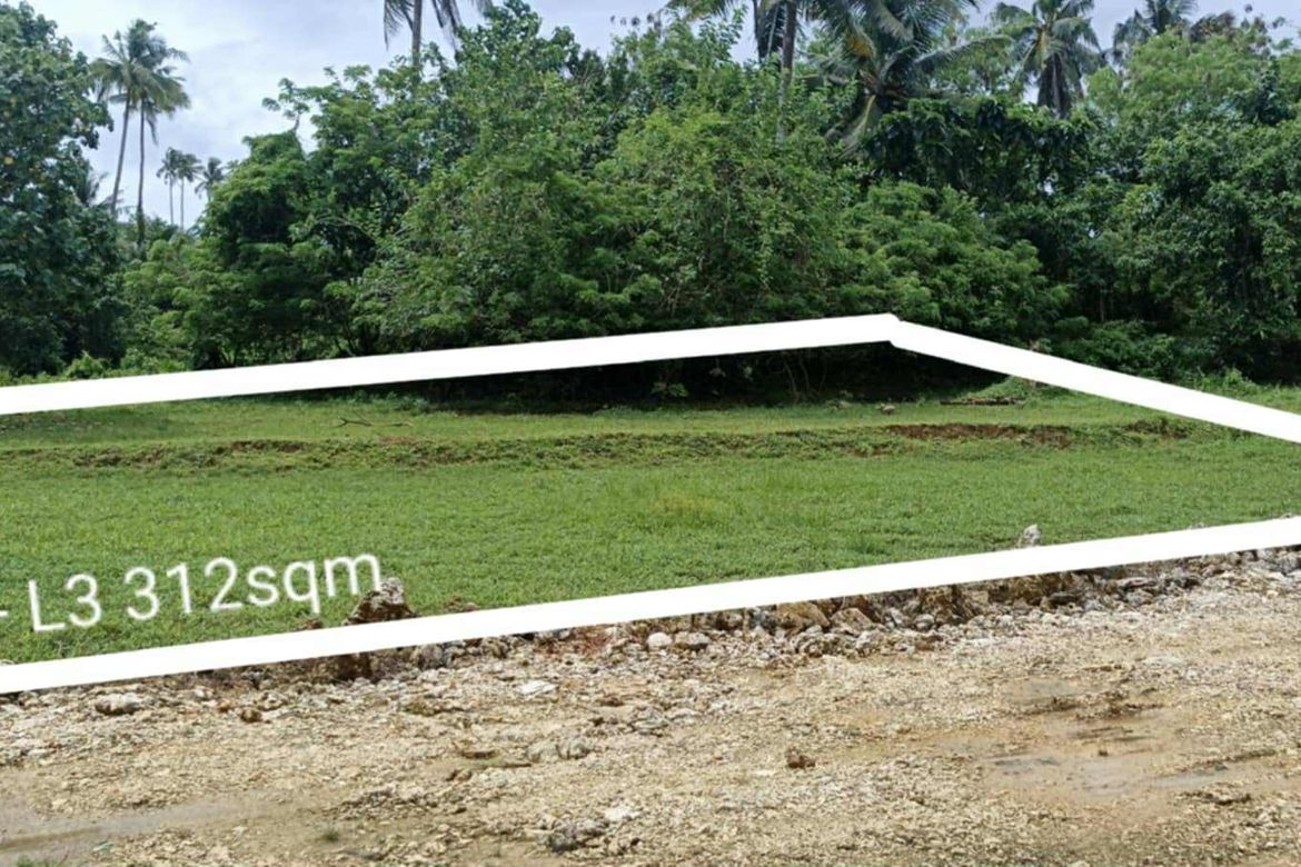 Land for Sale in Caridad, Pilar, Surigao del Norte – photo 9