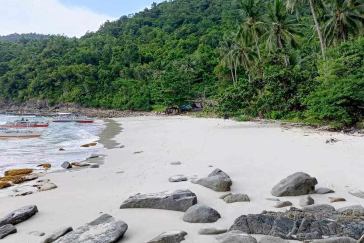 Land for Sale in Caruray, San Vicente, Palawan – photo 2
