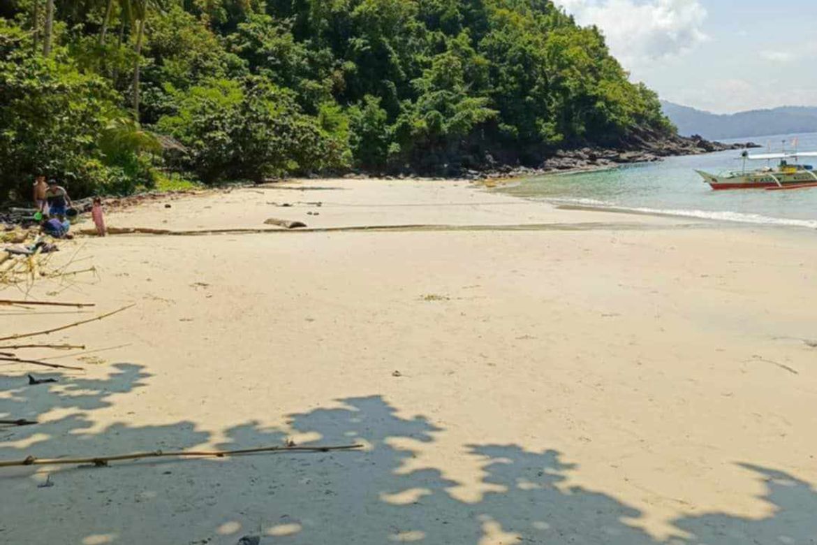 Land for Sale in Caruray, San Vicente, Palawan – photo 3