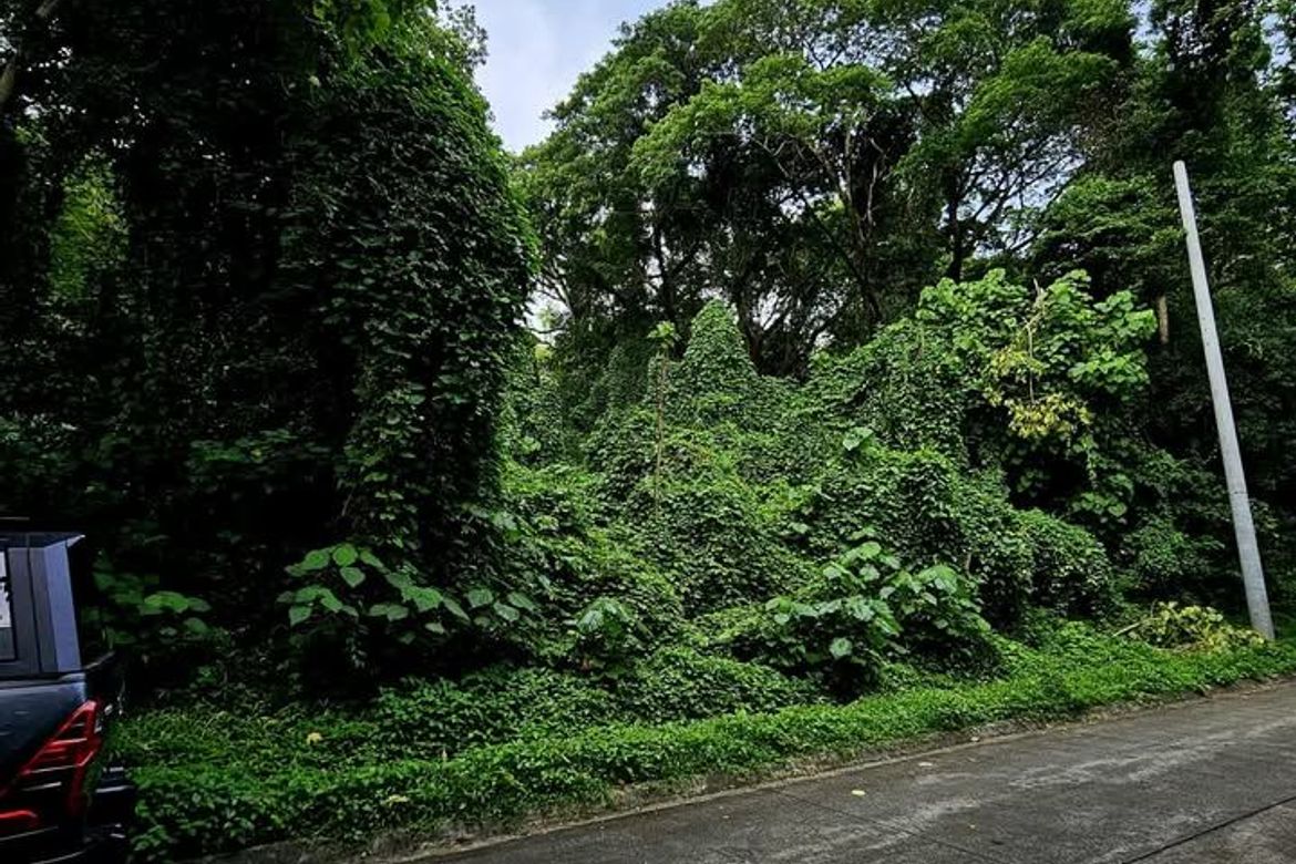 Land for Sale in Cuyambay, Tanay, Rizal – photo 3
