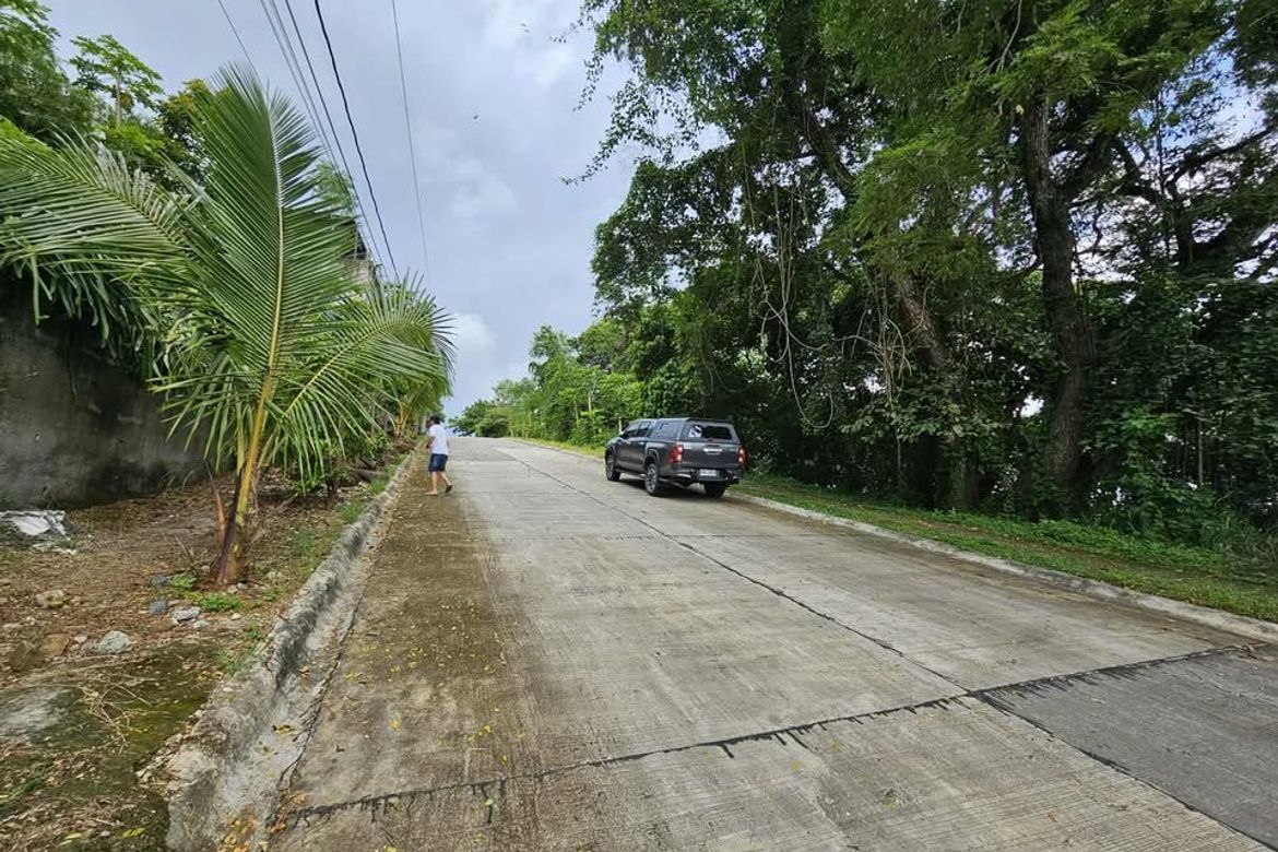Land for Sale in Cuyambay, Tanay, Rizal – photo 6