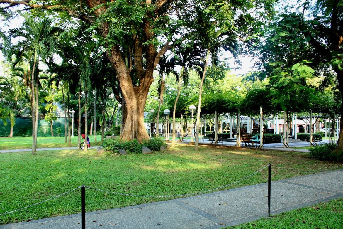 Land for Sale in Dasmariñas Village, Dasmariñas North, Makati City near MRT-3 Magallanes – photo 6