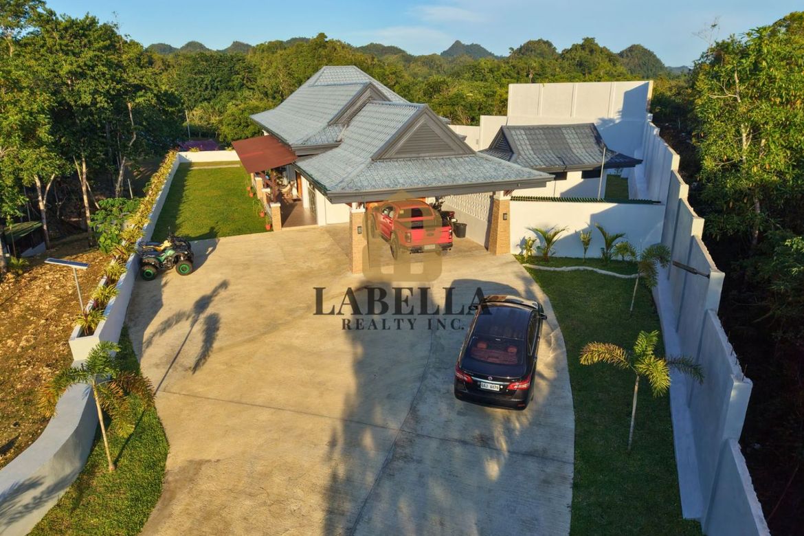 Land for Sale in Datag Sur, Balilihan, Bohol – photo 3