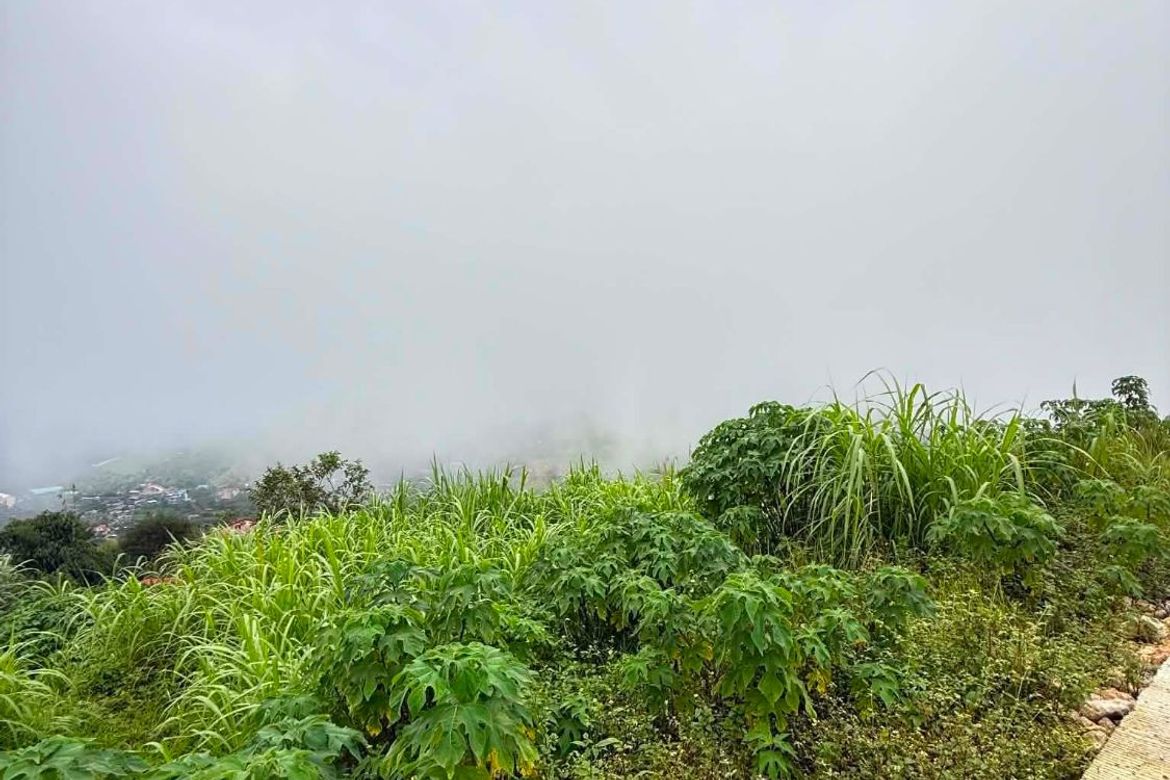Land for Sale in Dontogan, Baguio, Benguet – photo 4