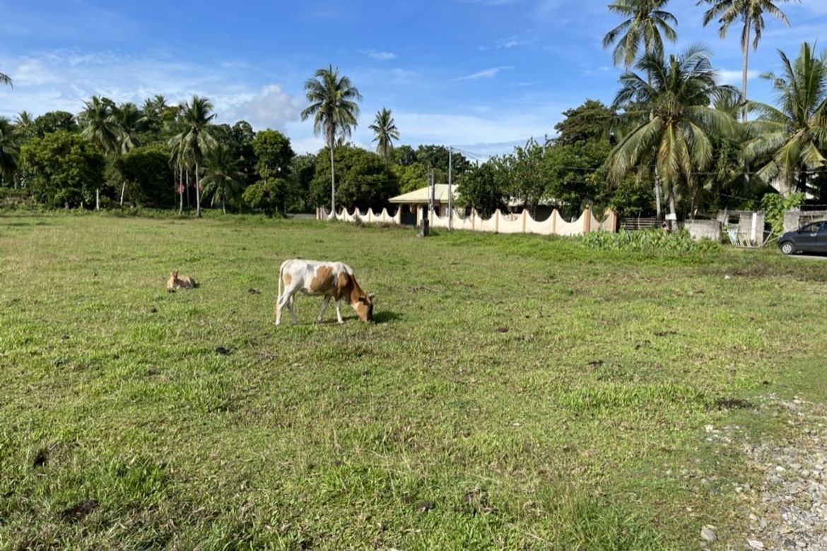 Land for Sale in Dumatad, Tangalan, Aklan – photo 4