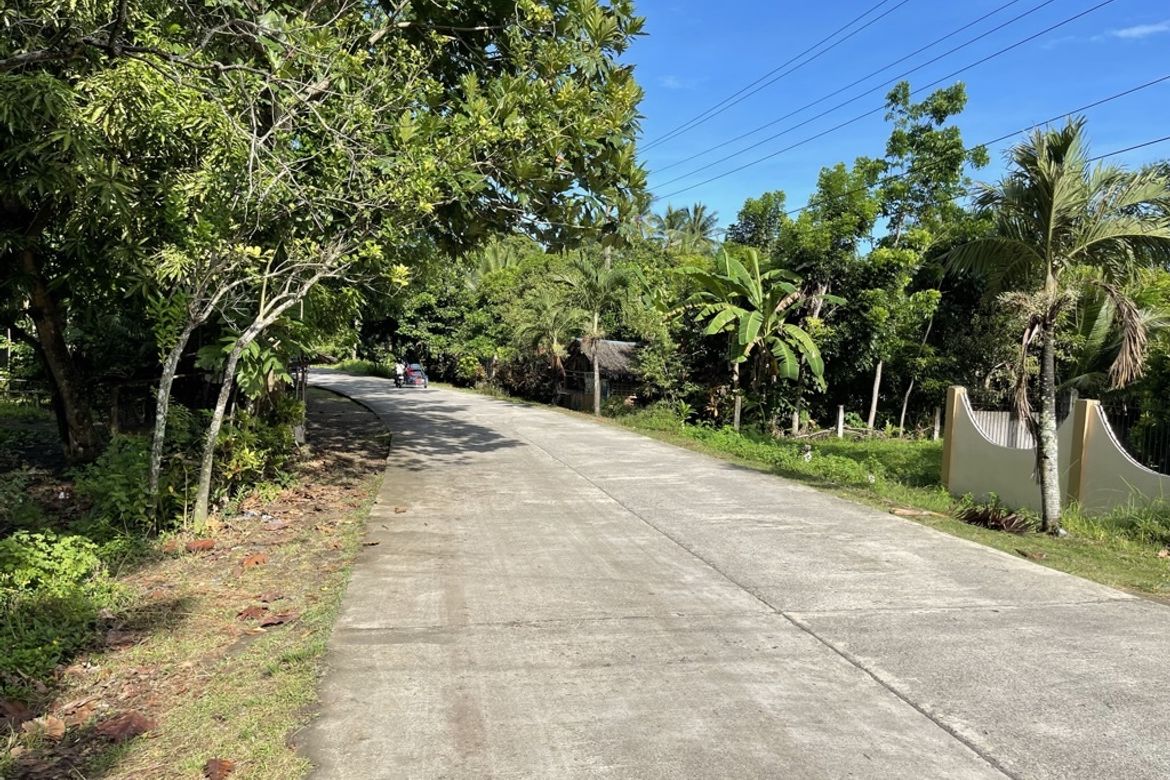 Land for Sale in Dumatad, Tangalan, Aklan – photo 6