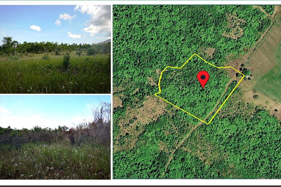 Land for Sale in Estrella Village, Narra, Palawan