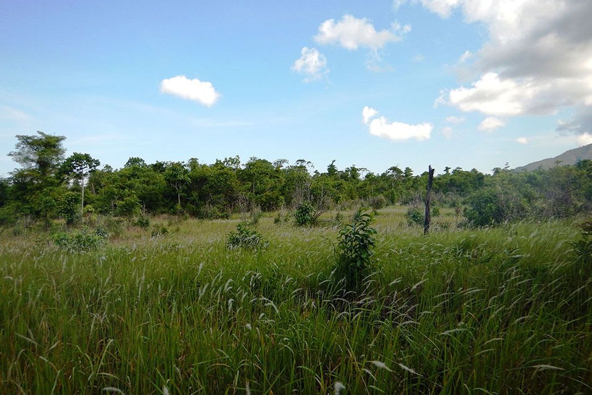 Land for Sale in Estrella Village, Narra, Palawan – photo 2