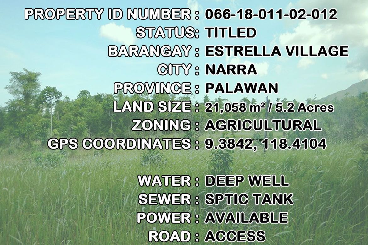 Land for Sale in Estrella Village, Narra, Palawan – photo 11